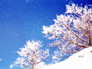 1���̓���E���ђ��E���Êx���C���X�i���X�j
