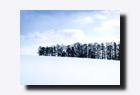 ��i�F�E������n