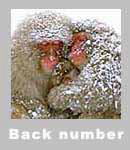 �g�b�v�y�[�W�̃o�b�N�i���o�[��