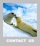 ���[����