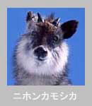 �j�z���J���V�J