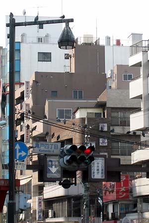 移った先は・・・