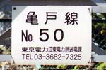 �v���[�g