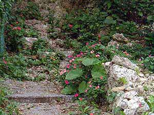 �N���b�N����Ƒ傫�Ȏʐ^�ɂȂ�܂�