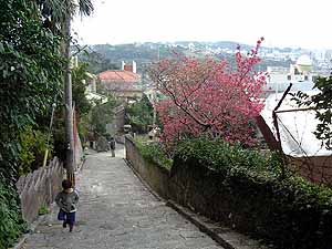 �N���b�N����Ƒ傫�Ȏʐ^�ɂȂ�܂�