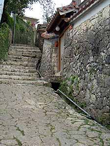 �N���b�N����Ƒ傫�Ȏʐ^�ɂȂ�܂�