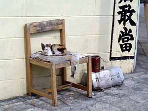 �N���b�N����Ƒ傫�Ȏʐ^�ɂȂ�܂�