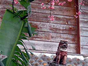 �N���b�N����Ƒ傫�Ȏʐ^�ɂȂ�܂�