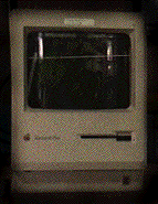 fish01.gif
