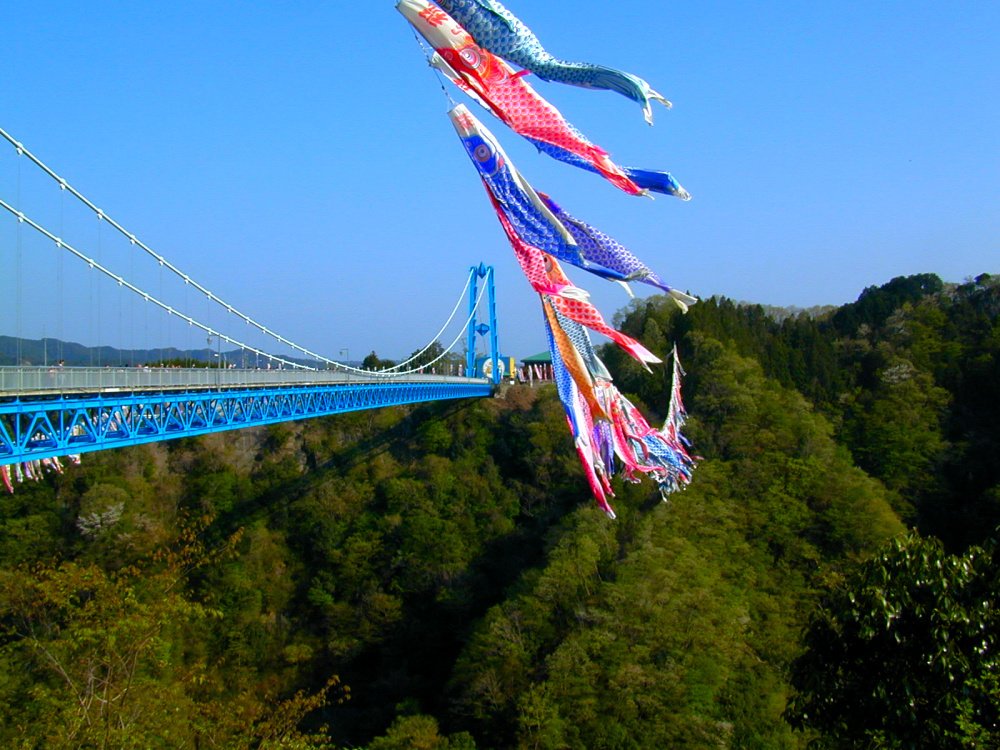 IDSCN0014.jpg