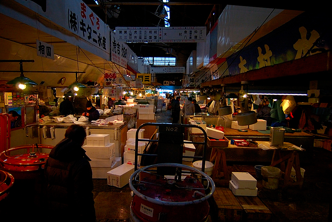 TTDSC_5640RR.jpg