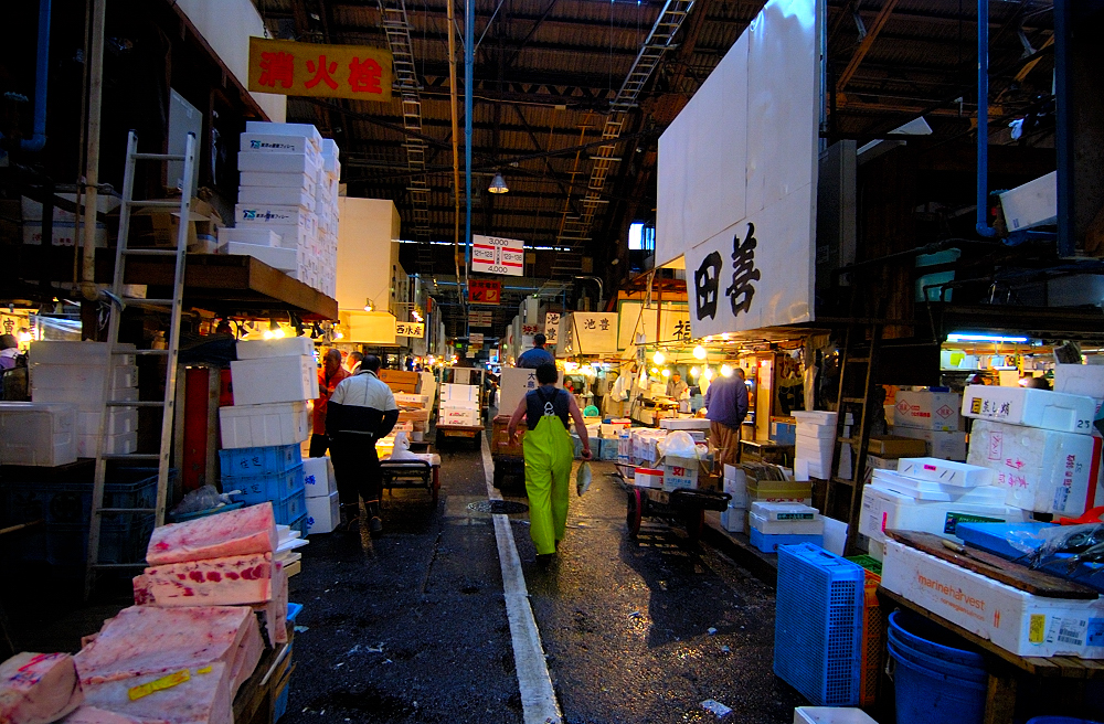 TTDSC_5642rr.jpg
