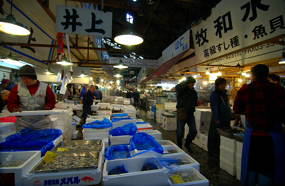 TTDSC_5644rr.jpg