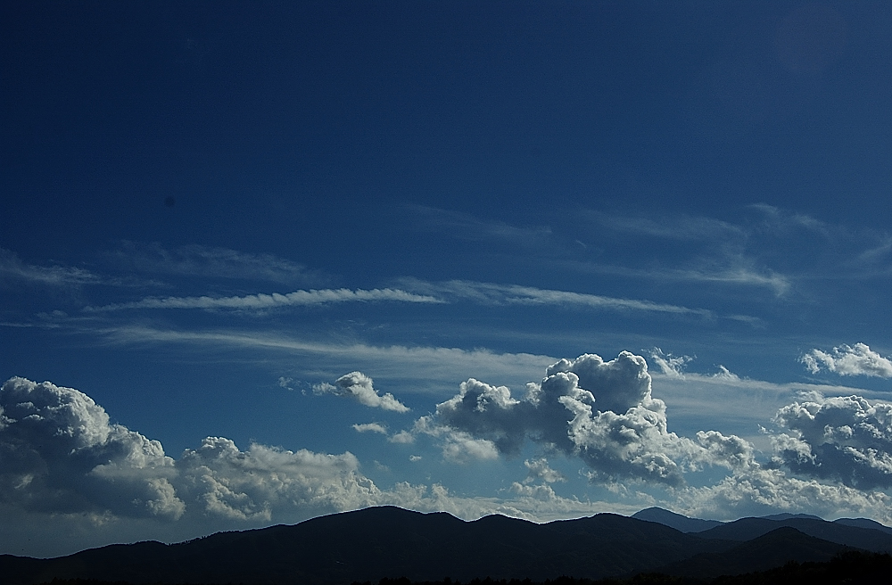 xIKDSC_7779.jpg