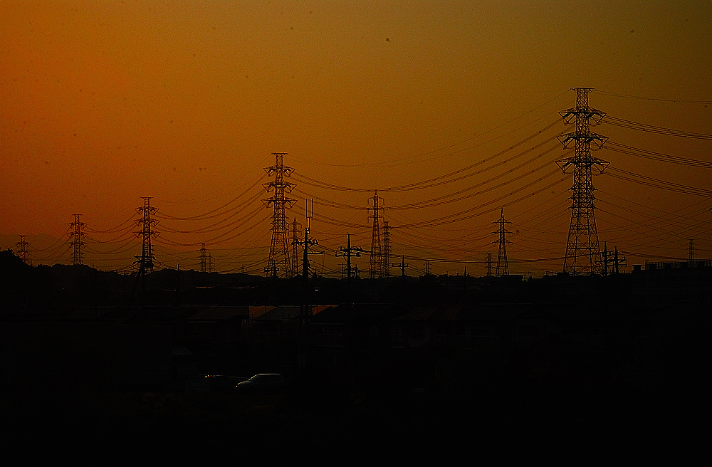 xSSDSC_6251r.jpg