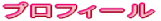 �v���t�B�[��