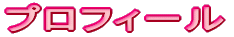 �v���t�B�[��