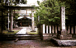 [���ޔg���_��]