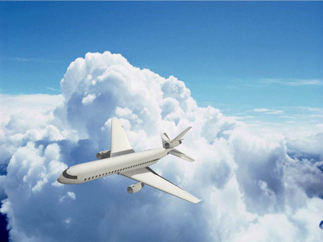 �_�C���z����