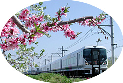 �厅���̎l�G�E�ʐ^�W�@�t��