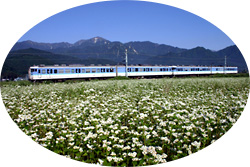 �厅���̎l�G�E�ʐ^�W�@�Ă�