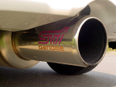 STI�@Ganome