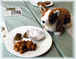 ���傢�Ƃ����O�؂̂悤�Ȃ���