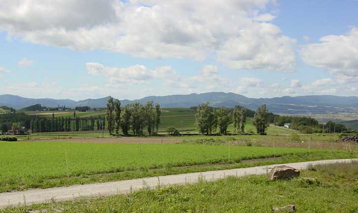 furano.jpg (33278 バイト)