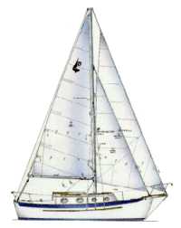 dana24.jpg (5267)