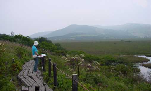 yatsugashima.jpg (14604)