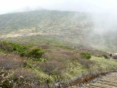 shimizu.jpg (14735 ???)