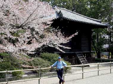 toshodaiji.jpg (24348)