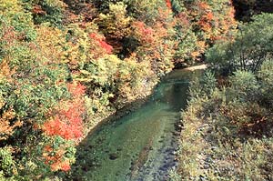 Pure Flow and Leaves