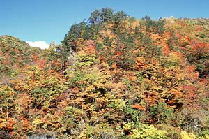 Colored Mountain