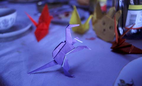 [Dino Origami]