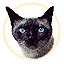 Cat Icon