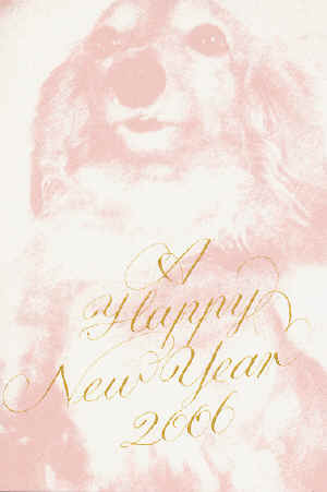 2006newyear.jpg (103592 oCg)