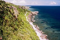 �摜�w�N�o�W�]��(2)�x