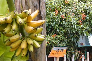 �M�щʎ���