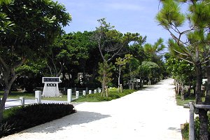 ���a�F�O����