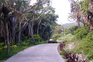 �摜�w�~�C���A�C�����h�x