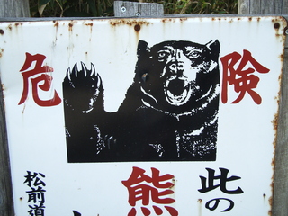くま近景
