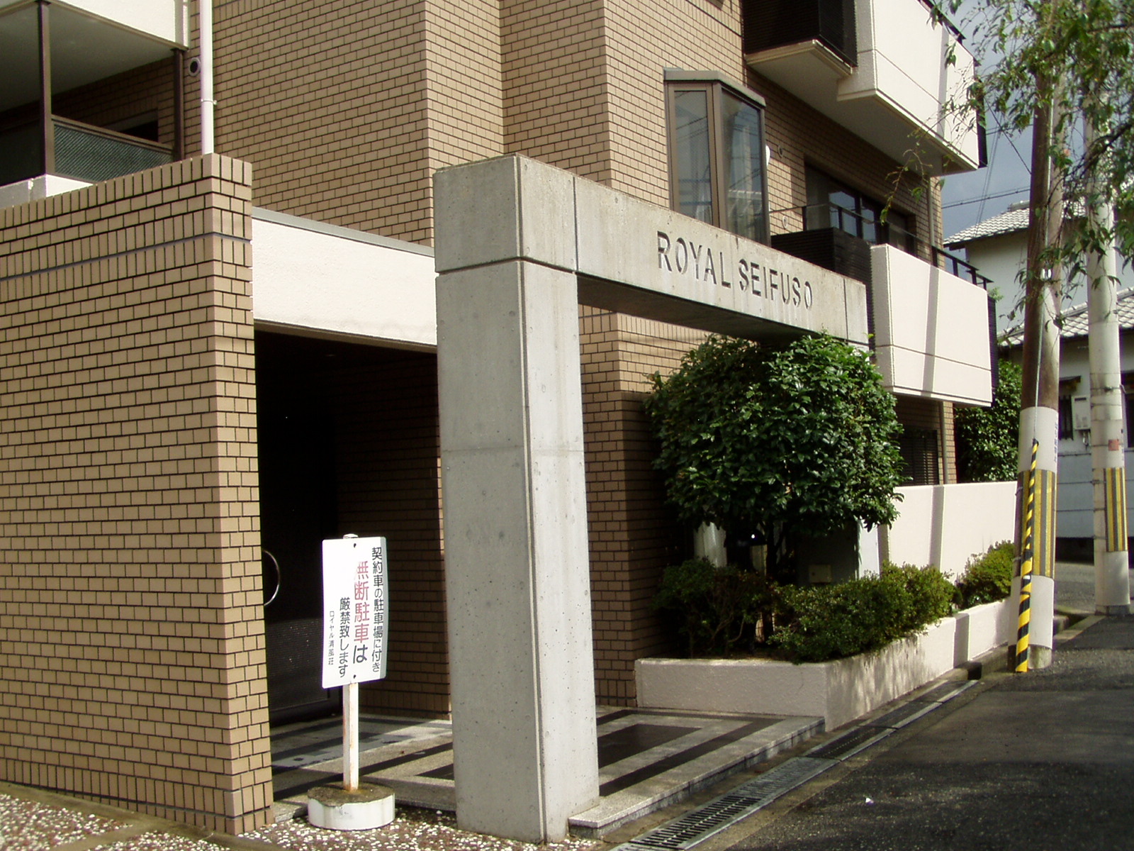 P8190028.JPG