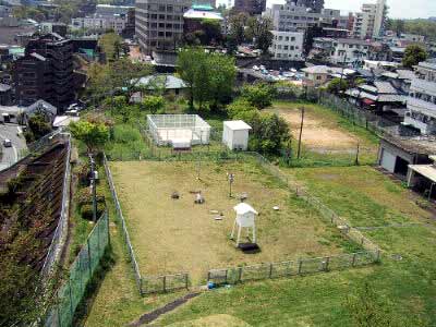 熊本気象台の露場