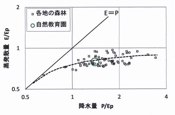 森林の水文気候