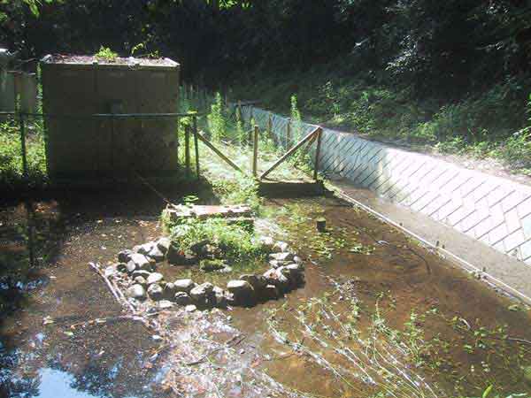 白笹稲荷神社湧水