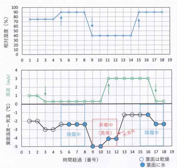 葉面と気温の温度差の時間変化