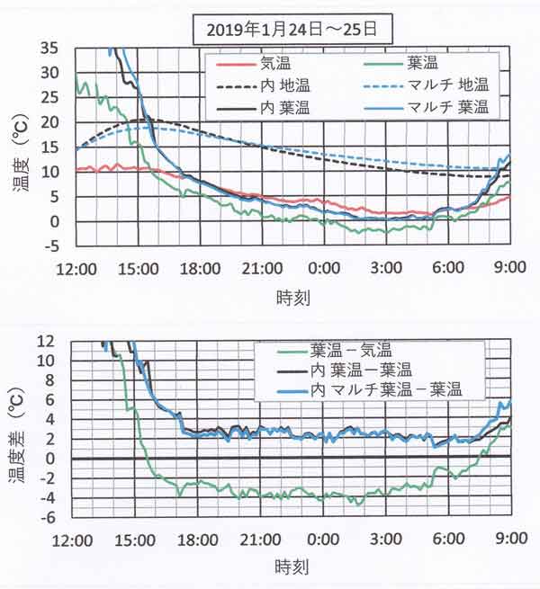 1月24日～259日