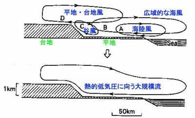 大規模循環流