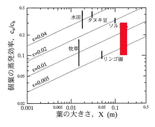 気孔面積率と蒸発効率